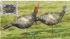 rh-inflatable-air-jake-hen-decoy