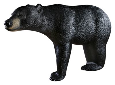 Blackout 3D Bear Target